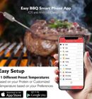 BBQGURU Термометр для гриля MiniX2 (термощуп)