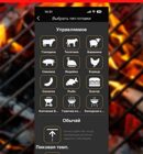 BBQGURU Термометр для гриля WR01 2 щупа в комплекте