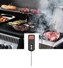 BBQGURU Термометр для гриля MiniX2 (термощуп)