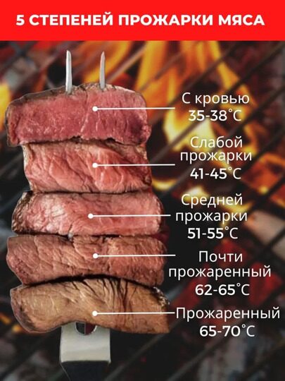 BBQGURU Термометр для гриля PRO 05 2 щупа в комплекте