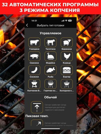 BBQGURU Термометр для гриля PRO 05 2 щупа в комплекте