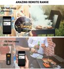 BBQGURU Термометр для гриля MiniX2 (термощуп)