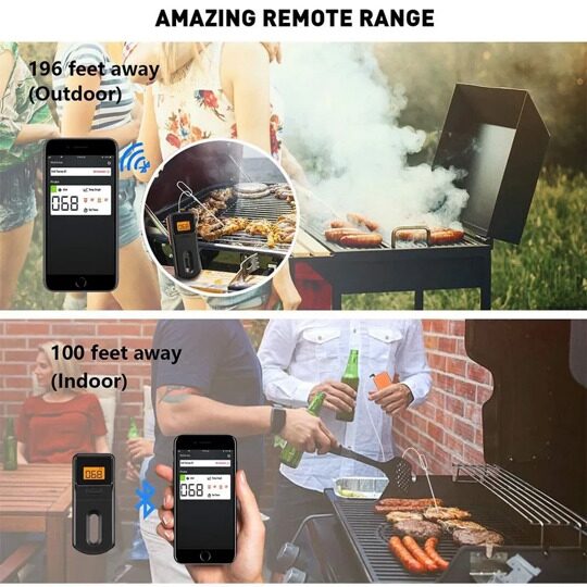 BBQGURU Термометр для гриля MiniX2 (термощуп)