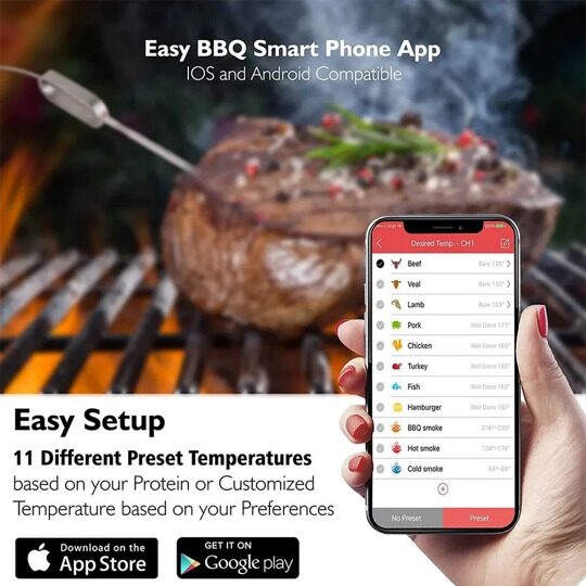 BBQGURU Термометр для гриля MiniX2 (термощуп)